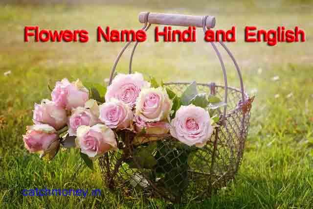 Flowers Name in English and Hindi