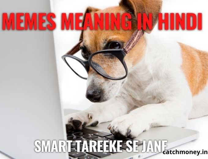 memes meaning in Hindi